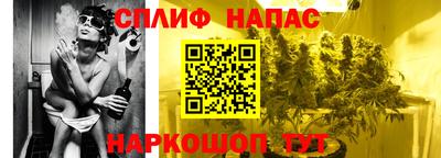 тгк Кингисепп
