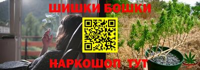 тгк Кингисепп