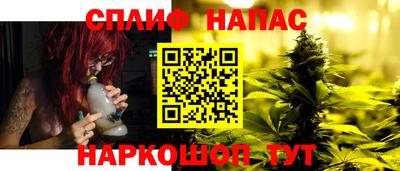тгк Кингисепп
