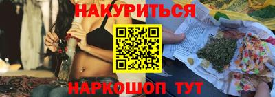 тгк Кингисепп