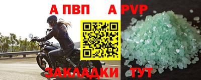 тгк Кингисепп
