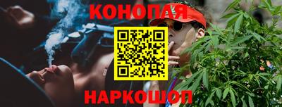 тгк Кингисепп