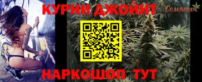 тгк Кингисепп