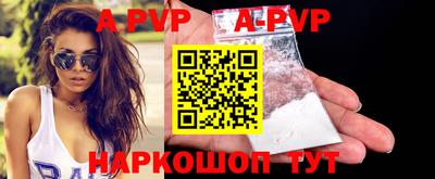 тгк Кингисепп